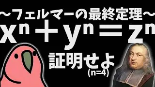 【人類が360年かけて解いた定理】フェルマー(本人)と一緒に証明する、フェルマーの最終定理（n=4)