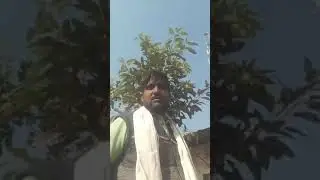 cotton token bus ko shahron Khan