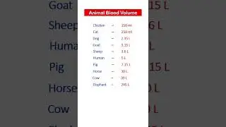 Animal Blood Volume #shorts #trending #animal