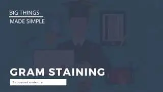 Gram Staining - By Karine Pangestu -