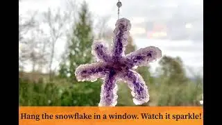 Whatcom Museum Crystal Snowflake Activity
