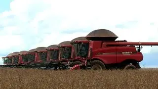 Sino U.S. deal could impact Brazil's soybean exports to China