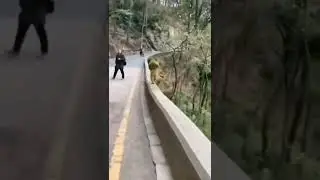 monkey for kullu manali trip this short reels subscribe..