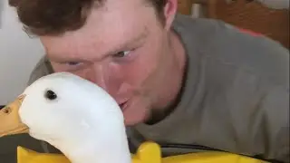 &ldquo;Can I get a crispy chicken burger&rdquo; (Vlog #15)