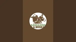 &iquest;EN DONDE ESTAN LOS BURROS EN M&Eacute;XICO Y A D&Oacute;NDE VAN?