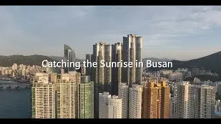 Catching the Sunrise in Busan
