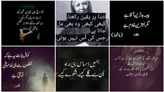 very expressive quotes in Urdu/Golden words in Urdu/most beautiful Urdu quotes