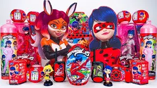 Miraculous Ladybug Toys Collection ASMR Unboxing Review | Mystery Cat Noir & Ladybug Surprise Boxes