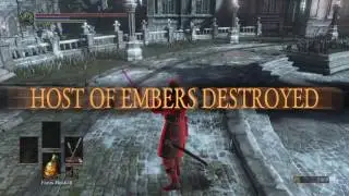 Darks Souls 3 Roronoa Zoro Cosplay from One Piece