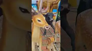 Fibre Animals Statue #shorts