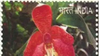 2016  Esmeralda Cathcartii Orchids Indian Stamps For Sell