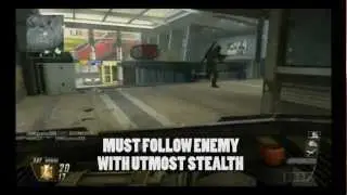A Slice of Blops: Black Ops 2 derps
