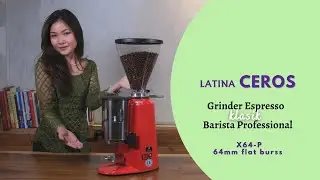 Latina Ceros X64P - Grinder Espresso Klasik Barista Professional