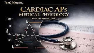 Cardiac Action Potentials Physiology | Electrophysiology of the Heart