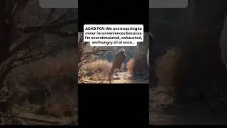 Overstimulation and ADHD #shorts #viral