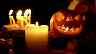 🦉 Happy Halloween, may your 