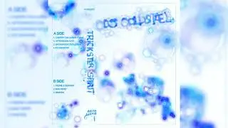 DJ Coldsteel - Backwards Evolution [Acid Waxa]