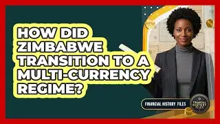 How Did Zimbabwe Transition To A Multi-Currency Regime?
