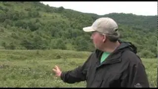 Амфиболитовые горы.mov