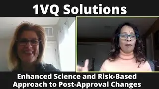 1VQ Solutions: an Enhanced Science and Risk-Based Approach to Post-Approval Changes &ndash; Part 2