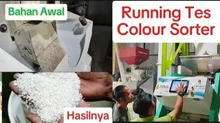 Running Tes Color Sorter Prima Oryza Series