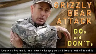 Surviving Multiple Bear Attacks - What Works, What Doesn't.