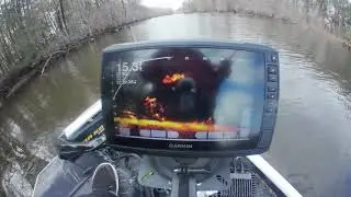 White Perch Jig on Garmin Livescope