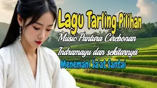 LAGU TARLING PILIHAN 🎧 Music Pantura Cirebon Indramayu dan sekitarnya #music #tarling #cirebon 