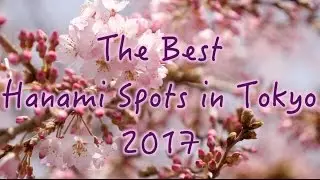 The Best Hanami Spots in Tokyo (2017)