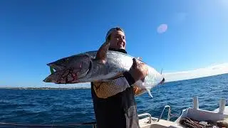 TROLLING for Spanish Mackerel!