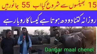 Fazal Deri form 35 behnsen kamaal businesفضل ڈیری فارم کنگ گجرات