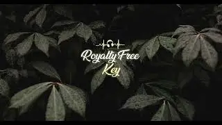 Best non copy right music 2022 | Pretty painting - James Gardin