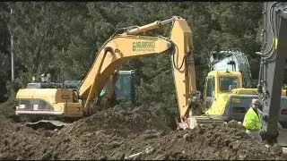 Amherst College moving 100-year-old tree