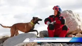 Estructuras Colapsadas