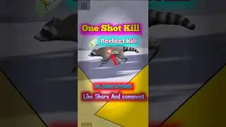 Fox And Raccoon Hunting  #shorts #ytshorts #games