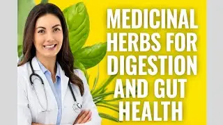 Medicinal Herbs for Digestion: 7 Plants That Fix Bloating & Gut Pain