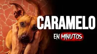 CARAMELO: EL PERRO M&aacute;s FIEL que HACHIKO (2025) RESUMEN EN MINUTOS