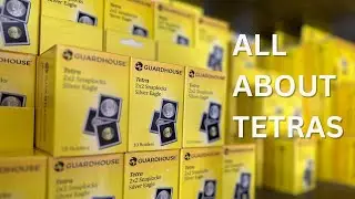 Guardhouse Tetra 2x2 Snaplock Holders