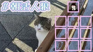 【朝活人狼】（仮)【てんぷら】
