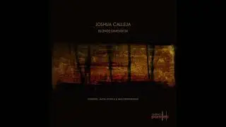 Joshua Calleja - Mindless Chaos (Centrific's Lysergic Dub) [Northern Parallels 022]
