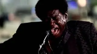 Charles Bradley cantando ao vivo 