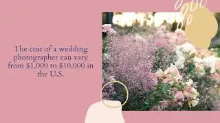 How Much Does A Wedding Photographer Cost?