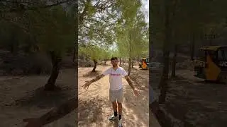 As&iacute; va el refugio #perros