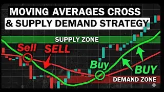 Supply & Demand Moving Average Risk Management How to Make Triple-digit Profitable Trading Strategy