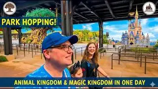 BOTH Kingdoms in ONE Day | New Zootopia + Everything Else