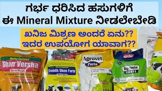 ಮಿನರಲ್ ಮಿಕ್ಸರ್ ಅಂದರೆ ಏನು ? Which is the best mineral  mixture for pregnant cow #cowfarm #kannada