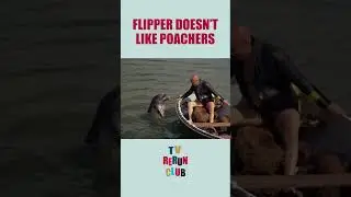 Flipper capsizes a boat! 🐬 #TVRerunClub #Flipper #Adventure