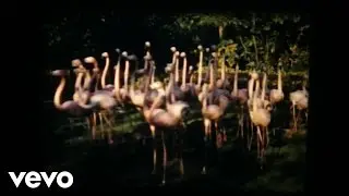 Giorgio Tuma - Two Half Moons