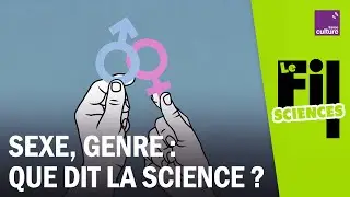 Sexe et genre, quand la science questionne nos certitudes
