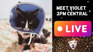Giving Tuesday Live with Laura our Medical Director 📱